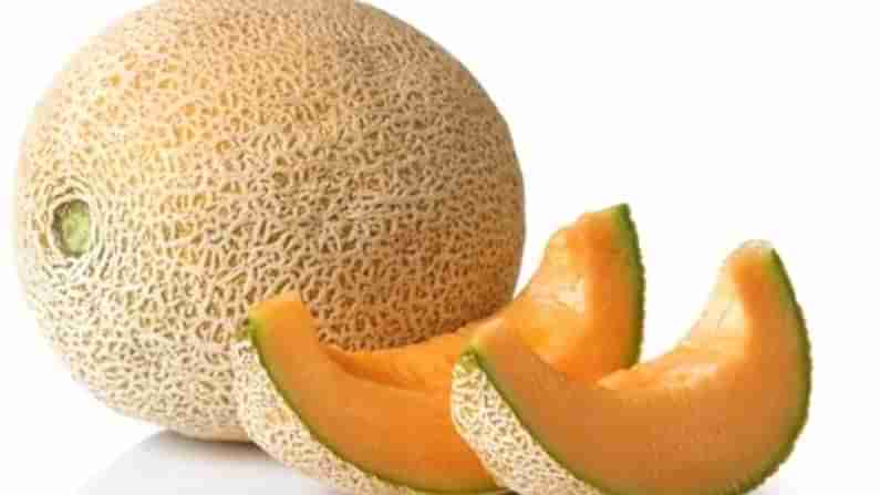 Health Benefits Of Muskmelon: ఖర్బూజతో కలిగే లాభాలు అన్నీఇన్నీ కావు.. హాట్‌ హాట్ సమ్మర్‌లో కూల్‌ కూల్‌గా..