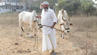 పవర్ స్టార్ పవన్ కళ్యాణ్, క్రిష్ దర్శకత్వంలో, ఎ.ఎమ్. రత్నం నిర్మిస్తున్న సినిమా ఫోటోలు….