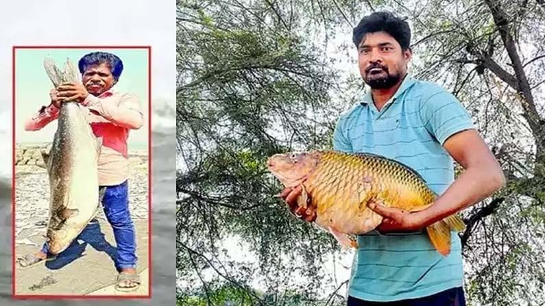 Rare Fish: తెలుగు రాష్ట్రాల్లో మత్సకారులకు చిక్కుతున్న అరుదైన చేపలు.. తాజాగా దొరికిన వాటి వివరాలు