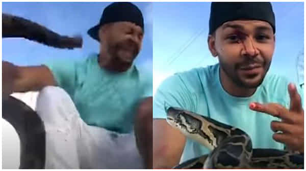 Scary Video: భారీ పైథాన్తో ఫన్నీ గేమ్.. ప్రాణాల మీదకు తెచ్చుకున్న స్నేక్ క్యాచర్.. వైరల్ వీడియో.!