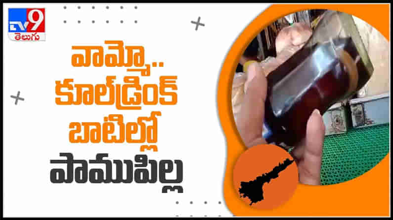 కూల్ డ్రింక్స్ లో పాము పిల్ల..భయపెడుతున్న వీడియో..!:Snake found in cooldrink bottle Video