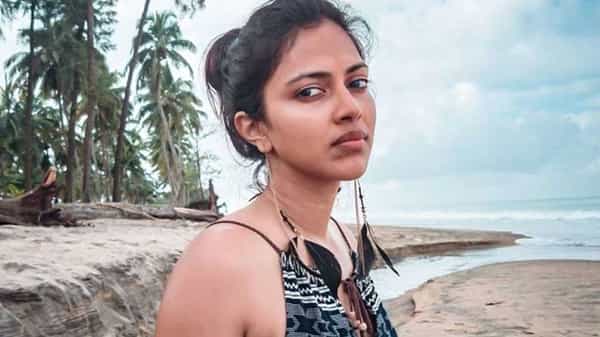 Amala Paul : విడిపోయిన తర్వాత జీవితమే ఉండదని అన్నారు.. ఎమోషనల్ అయిన హీరోయిన్..