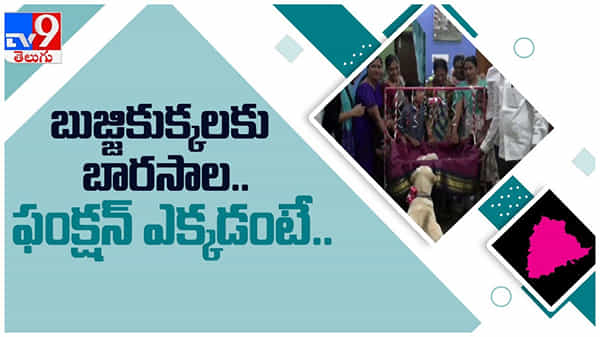 Telangana: బుజ్జి కుక్కలకు ఘనంగా బారసాల....!! ఫంక్షన్ ఎక్కడో తెలుసా ..?? ( వీడియో )