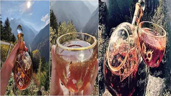 Centauri Honey: ఖరీదుతో గిన్నిస్ బుక్ లో చోటు సంపాదించుకున్న తేనె .. కిలో 8లక్షల పైమాటే.. దీని స్పెషాలిటీ ఏమిటంటే..?