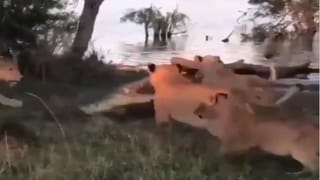 Gas Cylinder: 170 రూపాయలకే గ్యాస్ సిలిండర్.. ఇవాళ అర్థరాత్రి వరకే ఛాన్స్.. పూర్తి వివరాలు మీకోసం..