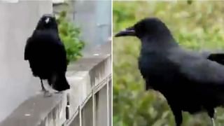 Viral News: 20 మంది గర్ల్‌ ఫ్రెండ్స్‌.. రూ. 10 లక్షలు ఖర్చు.. వీడు మామూలోడు కాదుగా.!