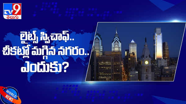 migrating birds: లైట్లు ఆర్పేసారు...!! వలస పక్షుల కోసం చీకట్లో మగ్గిన నగరం.. ( వీడియో )