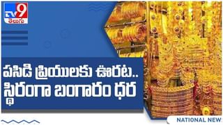 Banks Privatisation: ప్రధాన బ్యాంకుల ప్రైవేటీకరణ.. కేంద్రం విధానాలతో వినియోగదారులపై ఎలాంటి ప్రభావం ఉంటుందంటే..!