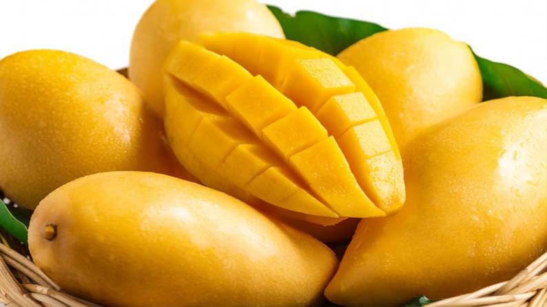 Mango Health Benefits : పండ్లలలో రారాజు.. మామిడి పండు వచ్చేసింది.. మరి ఈ పండుతినడం వల్ల ఉపయోగాలు ఏమిటో తెలుసా..!