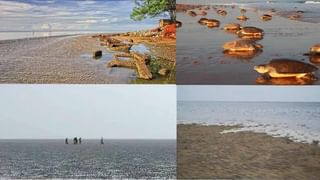 Summer Heat: మండిపోతున్న భానుడు.. ఎండల తాకిడికి జనం విలవిల.. మరింత పెరుగుతాయని హెచ్చరిక