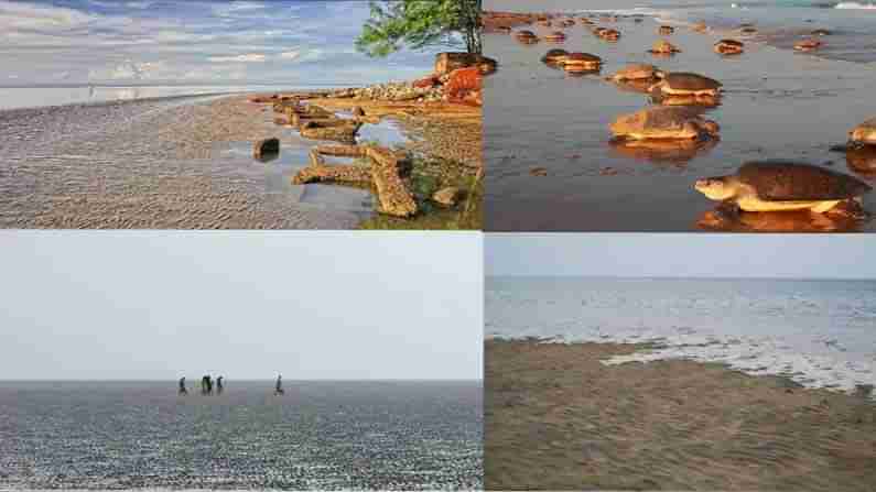 A Place of Mysteries: ప్రపంచంలోనే ఈ బీచ్ వెరీ స్పెషల్.. రోజుకు రెండు గంటలు మాయం.. అప్పుడు ముత్యాలు లభ్యం ఎక్కడంటే..!