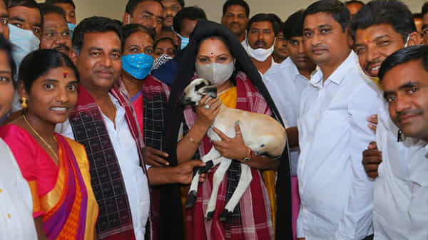 ఎమ్మెల్సీ కవితతో ఉమ్మడి నిజామాబాద్ జిల్లా కురుమ సంఘం భేటీ.. టీఆర్ఎస్ గెలుపులో కురుమల పాత్ర మరువలేనిదన్న కవిత