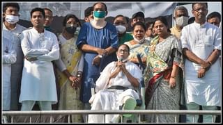 ‘నన్ను హతమార్చడానికి కుట్ర జరిగింది’ , ‘నేను దెబ్బ తిన్న పులిని’, బెంగాల్ సీఎం మమతా బెనర్జీ