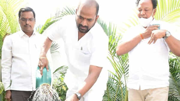 గ్రీన్ ఇండియా చాలెంజ్లో శ్రీనివాస్గౌడ్.. తన పుట్టిన రోజున మొక్కలు నాటిన ఆబ్కారీ మంత్రి