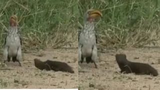 పుట్టిన 24 గంటల్లో చనిపోతాడని అనుకున్నారు.. కానీ ఇప్పుడు ప్రపంచానికి ఆదర్శంగా నిలిచాడు.. అతడెవరంటే.!