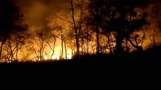 IPhone: ఆపిల్ ఫోన్ కోసం ఆన్‌లైన్‌లో బుక్ చేసుకుంది.. తీరా పార్శిల్ విప్పి చూశాక షాక్‌కి గురైంది.. ఇంతకీ ఏమైంది..