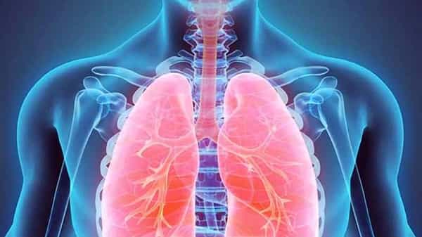 Lungs clean: మీ ఊపిరితిత్తులను ఇలా సింపుల్గా క్లీన్ చేసుకోవచ్చు.. లేకపోతే అనర్థాలే..