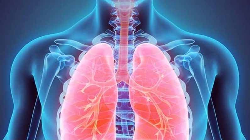Lungs clean: మీ ఊపిరితిత్తులను ఇలా సింపుల్‌గా క్లీన్ చేసుకోవచ్చు.. లేకపోతే అనర్థాలే..