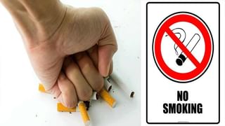 Digestive System Process: కొంచెం తిన్నా.. కడుపులో ఇబ్బందులు వేధిస్తున్నాయా..? అయితే ఈ పద్ధతులు పాటించండి..