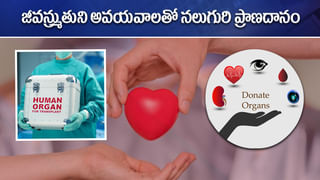 Immunity Booster: కరోనా వైరస్ నేపథ్యంలో రోగనిరోధక శక్తి లేదని భయపడుతున్నారా..! ఆ గడ్డి రసం తీసుకుంటే చాలు