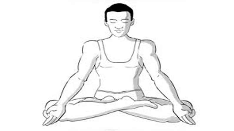 Padmasana Pose : అందరికీ తెలిసిన ఆసనం పద్మాసనం.. ఈ ఆసనం యొక్క ఉపయోగాలు ఏమిటో తెలుసా..!