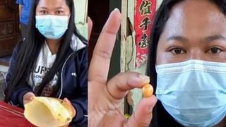 భారీ మొసలి వైట్ షార్క్ ని ఎలా పట్టేసిందో ! ఎర ఇక ‘నైస్’ ఫుడ్, క్వీన్స్ ల్యాండ్ వరదల్లో విచిత్రం !