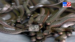 Viral Video : నడిరోడ్డు పై జలకాలాట.. ఇంతలో ఊహించని సంఘటన.. నవ్వులు పూయిస్తున్న వీడియో