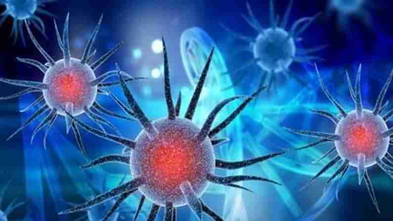 Telangana Coronavirus Update: మళ్ళీ తెలంగాణలో కరోనా కల్లోలం.. గత 24గంటల్లో ఎన్ని కేసులు నమోదయ్యాయంటే..!