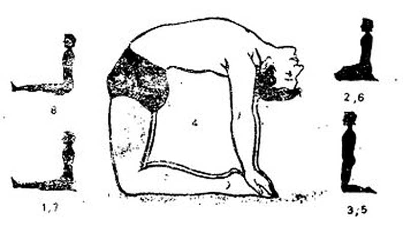 Ustrasana Benefits : ఉబ్బసం తో ఇబ్బంది పడుతున్నారా .. సర్వరోగ నివారిణి ...