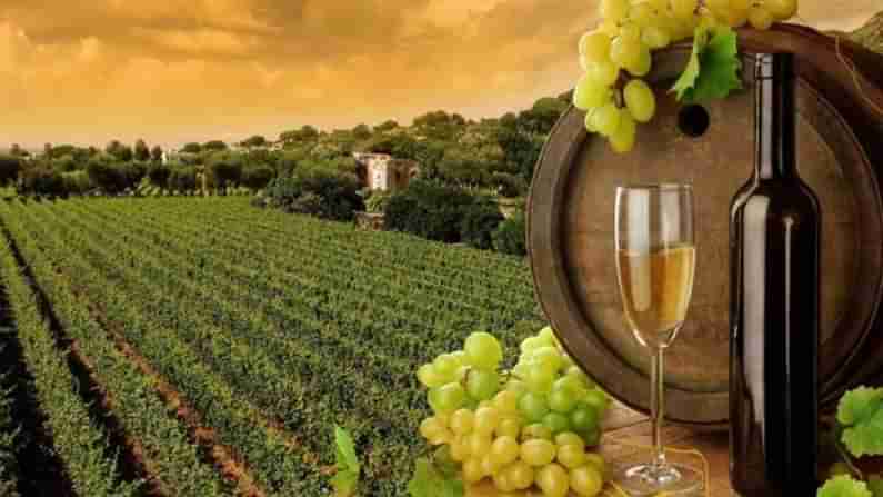 ఈ మద్యం కంపెనీలో పని చేస్తే.. నెలకు రూ. 7 లక్షలు జీతమిస్తారట.. ఇంతకీ పనేంటంటే.!