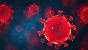 Chittoor District: 'రా.. రమ్మని ఆహ్వానిస్తున్నారా..?'.. భయం, బాధ్యత లేవా..?.. నిర్లక్ష్యం చేస్తే, పర్యవసానాలు తీవ్రం