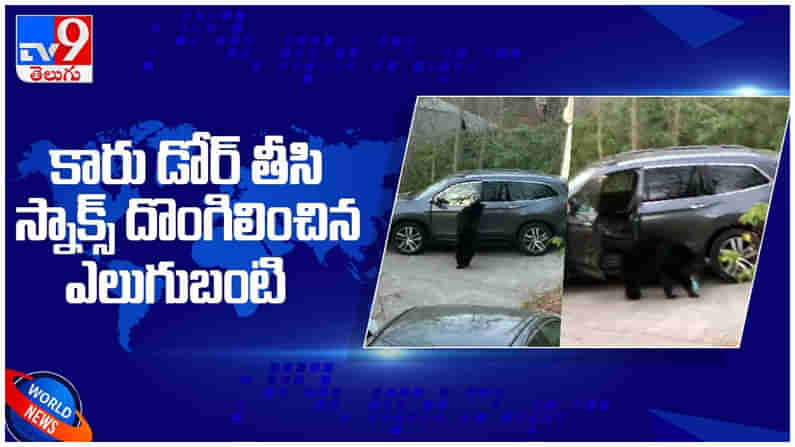 Viral Video: కారు డోర్‌ తెరిచి .. స్నాక్స్ దొంగలించిన ఎలుగుబంటి..!! వైరల్‌ అవుతున్న వీడియో..