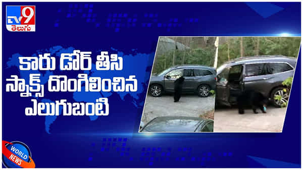 Viral Video: కారు డోర్‌ తెరిచి .. స్నాక్స్ దొంగలించిన ఎలుగుబంటి..!! వైరల్‌ అవుతున్న వీడియో..