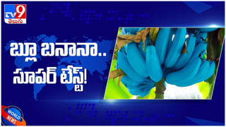 Coronavirus Second Wave: విజృంభిస్తున్న కరోనా.. రోగనిరోధక శక్తిని పెంచుకోవడానికి తీసుకోవాల్సిన చిట్కాలు ఇవే..