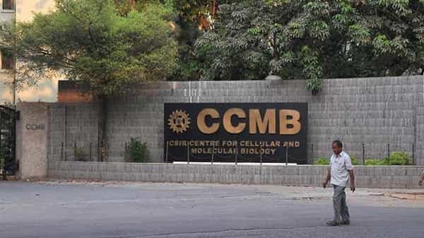 CCMB Recruitment: ఇంటర్ విద్యార్హత, ఇంగ్లిష్ టైపింగ్తో ప్రభుత్వ ఉద్యోగాలు.. చివరి తేదీ, ఎలా అప్లై చేసుకోవాలంటే..