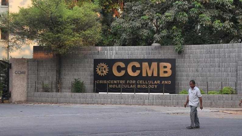 CCMB Recruitment: ఇంటర్‌ విద్యార్హత, ఇంగ్లిష్‌ టైపింగ్‌తో ప్రభుత్వ ఉద్యోగాలు.. చివరి తేదీ, ఎలా అప్లై చేసుకోవాలంటే..