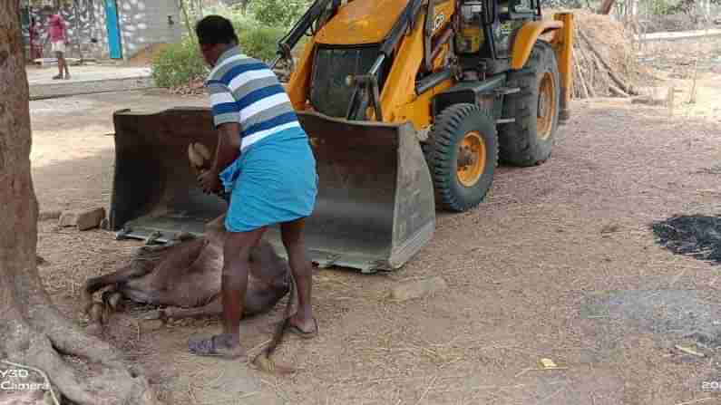 Warangal Rural: వరంగల్‌లో హడలెత్తిస్తున్న అంతుచిక్కని వ్యాధి.. రంగంలోకి దిగిన వైద్యులు.. చివరికి ఏం తేలిందంటే..