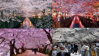 Missed Accident: వామ్మో అదృష్టం బావుంది.. రెండు విమానాలు ఒకదానికి ఒకటి దగ్గరగా వచ్చాయి.. కానీ, ప్రమాదం జరగలేదు!