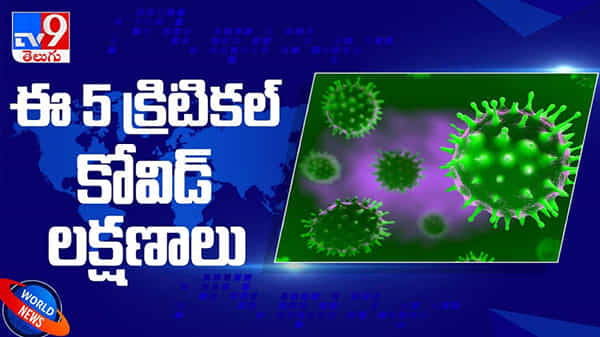 New Covid Symptoms:ఈ ఐదు మెయిన్ కోవిడ్ లక్షణాలు... క్రిటికల్ సిట్యూషన్స్ వీడియో.. అత్యంత ప్రమాదకరంగా కొత్త కరోనా