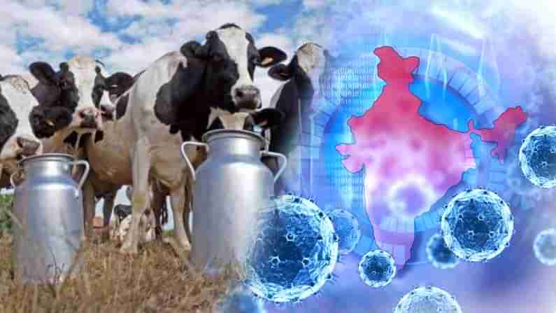 COVID Pandemic Impact: డెయిరీ పరిశ్రమ పై కోవిడ్ ఎఫెక్ట్..సంక్షోభ సమయంలో ఏం చేయాలంటే.. సీఐఐ సూచనలు!