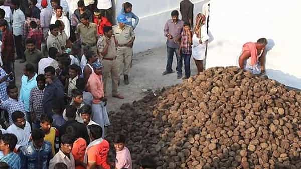 Dung cakes Festival: కర్నూలు జిల్లాలో వినూత్న ఆచారం.. పిడకలతో ఇరు వర్గాల సమరం.. ఇంట్రస్టింగ్ స్టోరీ