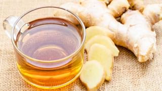 Paal Poli Recipe: ఉగాది స్పెషల్ రాయలసీమ స్పెషల్ ‘పాల పోళీ’లు తయారీ విధానం తెలుసుకుందాం..!