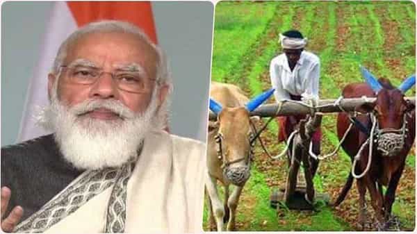 కిసాన్ సమ్మాన్ నిధికి అర్హులు కాకపోయినా డబ్బులు తీసుకుంటున్నారా..! అయితే కఠిన చర్యలు తప్పవు.. తెలుసుకోండి..