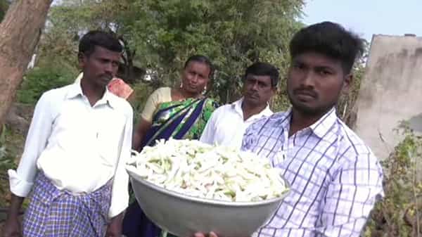 కరోనా కారణంగా ఉద్యోగం పోయింది... అతడు లిల్లీ పంటతో జీవితాన్నే సాగు చేసుకున్నాడు.. యువకుడి విజయగాథ