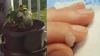 Prince Philip death:  బ్రిటన్  క్వీన్ ఎలిజబెత్ IIకు పతీవియోగం… ప్రిన్స్ ఫిలిప్ కన్నుమూత