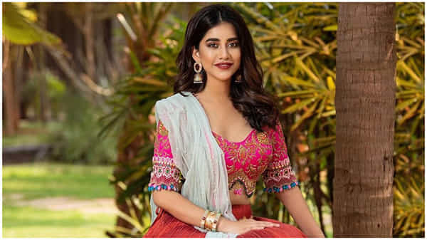 Nabha Natesh : బంపర్ ఆఫర్ కొట్టేసిన ఇస్మార్ట్ పిల్ల.. ఏకంగా ఎన్టీఆర్ సినిమాలో ఛాన్స్..