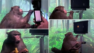 Partnered: కేవలం రూ.10 వేలకే.. అదిరే ఫీచర్లతో మార్కెట్లోకి సామ్‌సంగ్‌ F12 .. నెక్ట్స్ సేల్‌ ఎప్పుడంటే..