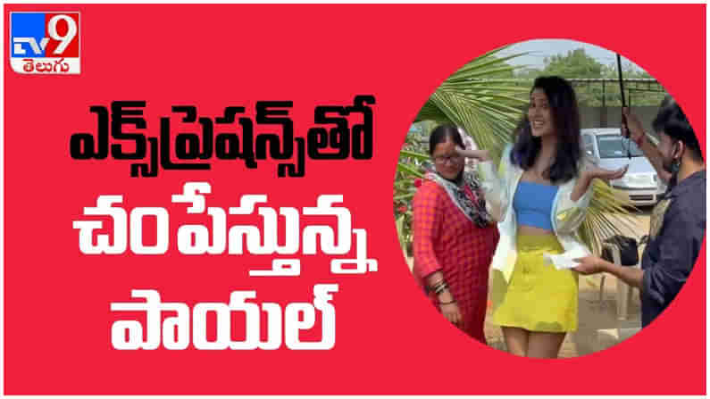 Payal Rajput: ఎక్స్‌ ప్రెషన్స్‌తో మరోసారి అభిమానులను బుట్టలో పడేసిన పాయల్ రాజ్‌పుత్.. ( వీడియో )