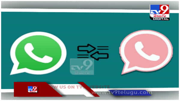 Whats App Pink: వాట్సప్‌లో కొత్త రంగుల్లో అంటూ లింక్ వచ్చిందా..?? క్లిక్ చేస్తే మీ ప‌ని అంతే... ( వీడియో )