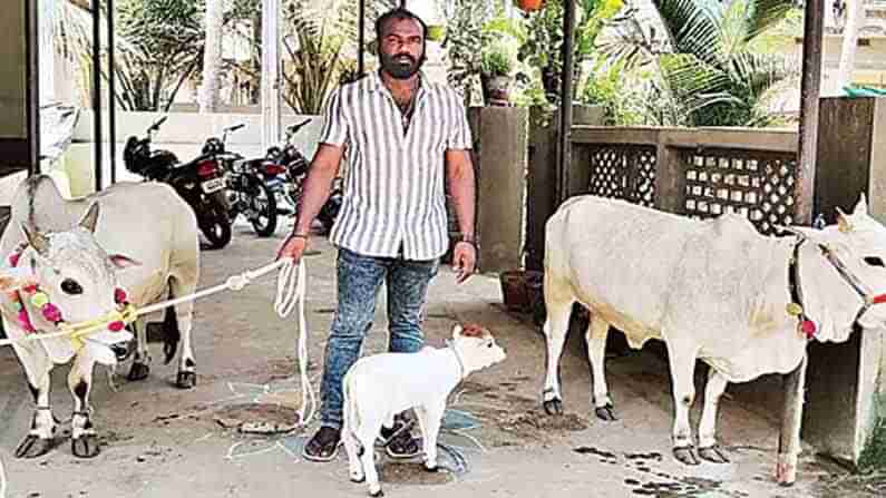 Smallest Cow: బుజ్జి ఆవుకు.. బుల్లి దూడ.. తూర్పుగోదావరి జిల్లాలో సందడి చేస్తున్న చిట్టి దూడ